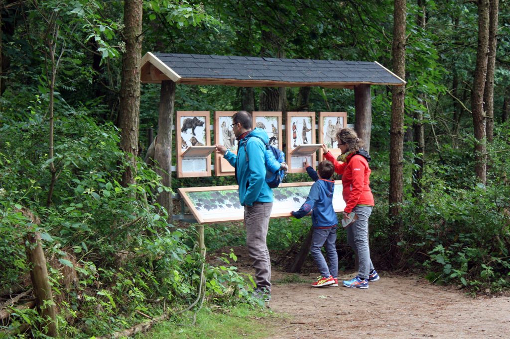 Der neue Naturentdeckerpfad im Bärenwald Müritz (Foto: Bärenwald Müritz)